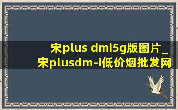 宋plus dmi5g版图片_宋plusdm-i(低价烟批发网)版图片